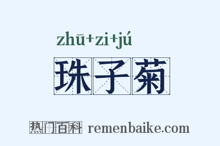 珠子菊是什么意思的图片